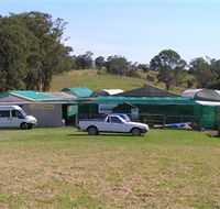 Tinonee Orchid Nursery - Perisher Accommodation