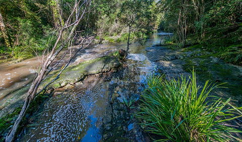 Dawson River Walking Track - Perisher Accommodation 0