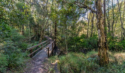 Dawson River Walking Track - Perisher Accommodation 1