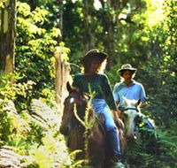 Clarendon Forest Retreat Horse Riding - Perisher Accommodation