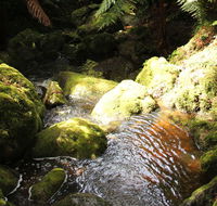 South East Forests National Park - Perisher Accommodation