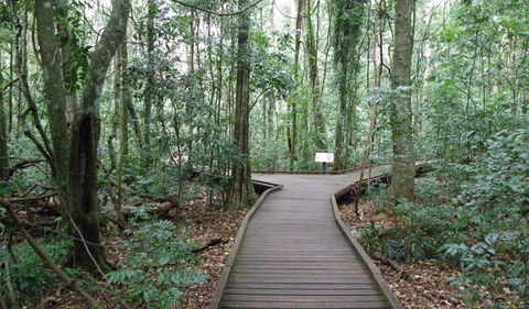 Victoria Park Boardwalk - Perisher Accommodation 0