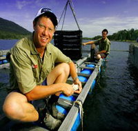 Armstrong Oysters - Perisher Accommodation