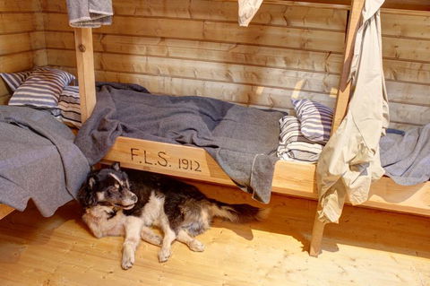 Mawson's Huts Replica Museum - Perisher Accommodation 7