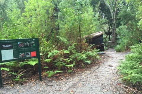 Wilsons Promontory Walking And Sightseeing Tour From Phillip Island - Perisher Accommodation 1