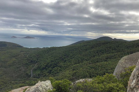 Wilsons Promontory Walking And Sightseeing Tour From Phillip Island - Perisher Accommodation 5