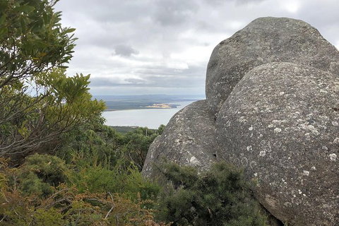 Wilsons Promontory Walking And Sightseeing Tour From Phillip Island - Perisher Accommodation 15