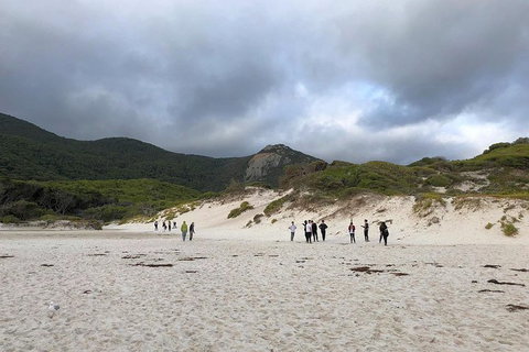 Wilsons Promontory Walking And Sightseeing Tour From Phillip Island - Perisher Accommodation 4