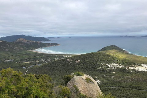 Wilsons Promontory Walking And Sightseeing Tour From Phillip Island - Perisher Accommodation 12