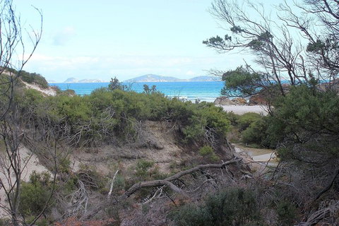 Wilsons Promontory Walking And Sightseeing Tour From Phillip Island - Perisher Accommodation 14