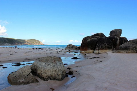 Wilsons Promontory Walking And Sightseeing Tour From Phillip Island - Perisher Accommodation 10