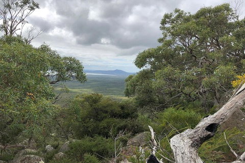 Wilsons Promontory Walking And Sightseeing Tour From Phillip Island - Perisher Accommodation 13