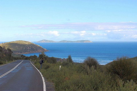 Wilsons Promontory Walking And Sightseeing Tour From Phillip Island - Perisher Accommodation 2