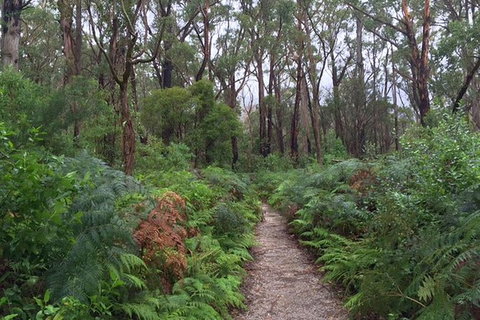 Wilsons Promontory Walking And Sightseeing Tour From Phillip Island - Perisher Accommodation 6