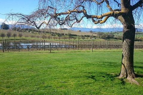 CHEVY CONVERTIBLE Package For 2 People- Wine Lunch Cheese & Chocolate From Melb. - Perisher Accommodation 4