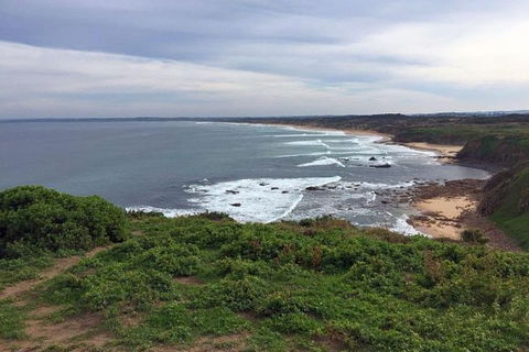 Half Day Phillip Island Woolamai Walking Tour - Perisher Accommodation 0