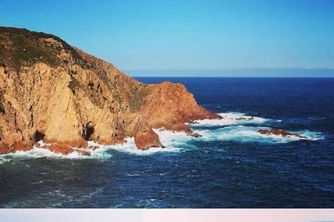 Half Day Phillip Island Woolamai Walking Tour - Perisher Accommodation 1
