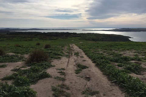 Half Day Phillip Island Woolamai Walking Tour - Perisher Accommodation 8