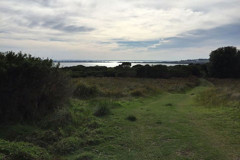Half Day Phillip Island Woolamai Walking Tour - Perisher Accommodation 4