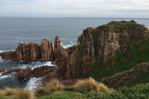 Half Day Phillip Island Woolamai Walking Tour - Perisher Accommodation 16