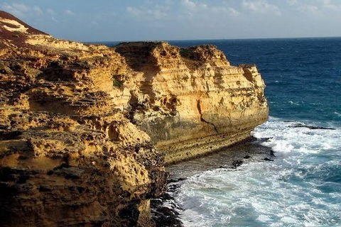 Half Day Phillip Island Woolamai Walking Tour - Perisher Accommodation 12