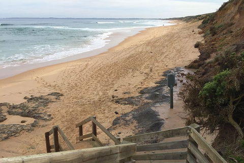 Half Day Phillip Island Woolamai Walking Tour - Perisher Accommodation 11