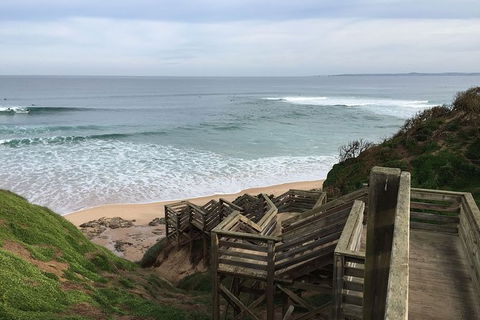 Half Day Phillip Island Woolamai Walking Tour - Perisher Accommodation 5