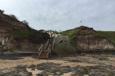 Half Day Phillip Island Woolamai Walking Tour - Perisher Accommodation 14