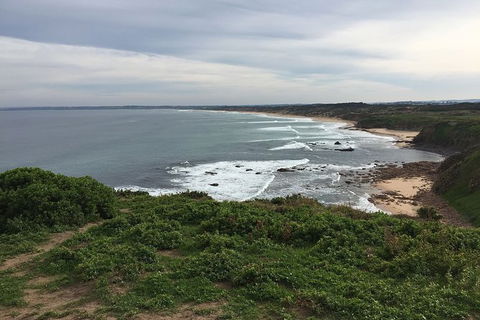 Half Day Phillip Island Woolamai Walking Tour - Perisher Accommodation 10