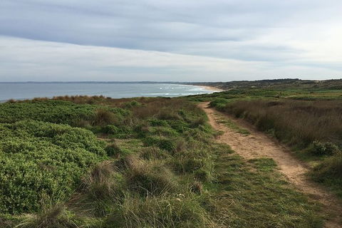Half Day Phillip Island Woolamai Walking Tour - Perisher Accommodation 3