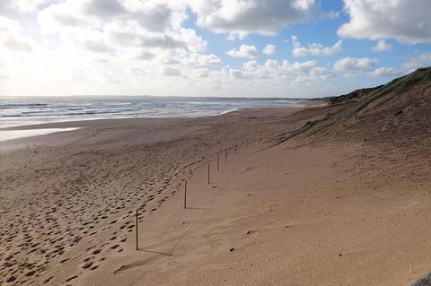 Half Day Phillip Island Woolamai Walking Tour - Perisher Accommodation 7
