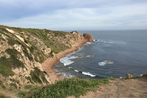 Half Day Phillip Island Woolamai Walking Tour - Perisher Accommodation 2