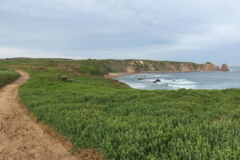 Half Day Phillip Island Woolamai Walking Tour - Perisher Accommodation 9