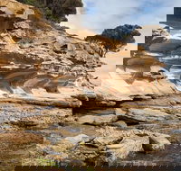 Maria Island premium private photo-oriented day tour from Hobart - Perisher Accommodation