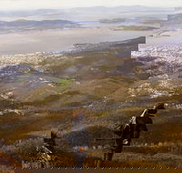 Mt Wellington Half Day Guided Summit Hike - Perisher Accommodation