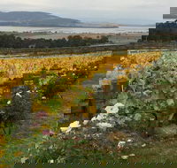 Mona and Wine Experience Tour - Perisher Accommodation
