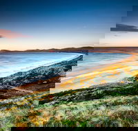 Full-Day Guided Bruny Island Tour from Hobart - Perisher Accommodation