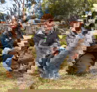 Bonorong Wildlife Park and Richmond Afternoon Tour from Hobart - Perisher Accommodation