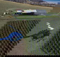 Bangor Vineyard Shed Helicopter Tour - Perisher Accommodation