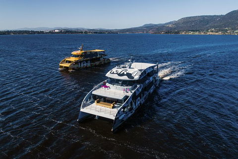 Moorilla Wine Meets Mona Art Day Trip - Perisher Accommodation 1