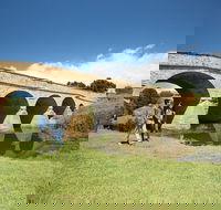 Richmond Historic Afternoon Tour from Hobart - Perisher Accommodation