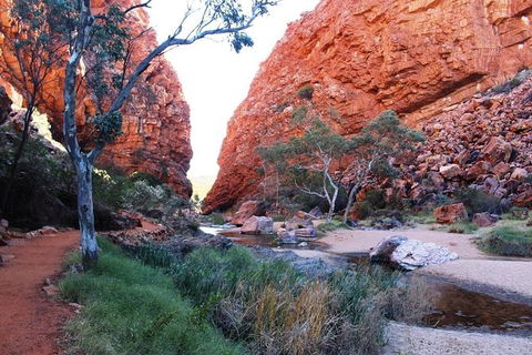 Half Day MacDonnell Ranges Small Group - Private Guided Tour - Perisher Accommodation 0