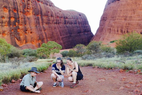 Afternoon Kata Tjuta Small Group Tour - Perisher Accommodation 7