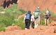 Afternoon Kata Tjuta Small Group Tour - thumb 9