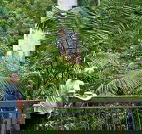 Grandis Picnic Area - Perisher Accommodation