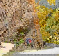 Old Great North Road - World Heritage Walk - Perisher Accommodation