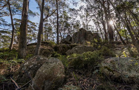 Pheasants Peak Walking Track - Perisher Accommodation 0