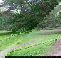 St Albans Reserve - Perisher Accommodation