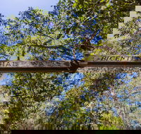 Bribie Island Bicentennial Trails - Perisher Accommodation