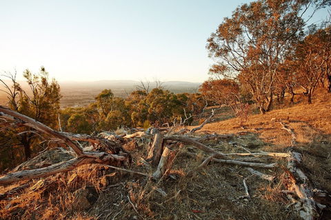 Chick Hill Walk - Perisher Accommodation 0